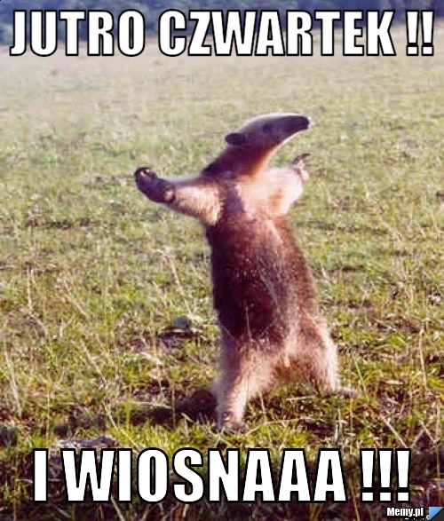 Jutro czwartek !! I wiosnaaa !!!