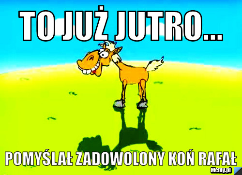 To już jutro... pomyślał zadowolony koń rafał