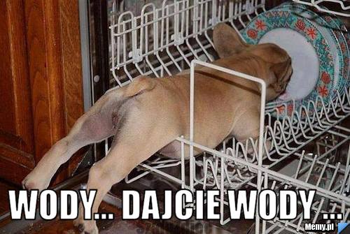  wody... dajcie wody ...