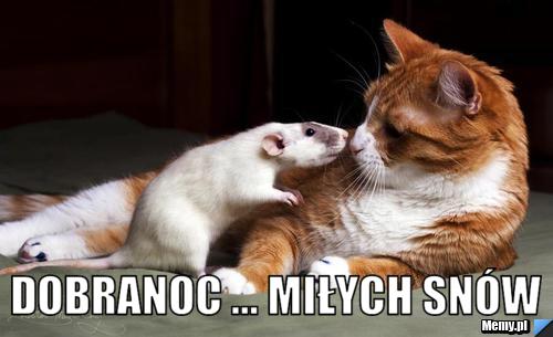  dobranoc ... miłych snów   