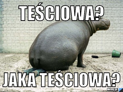 Teściowa? Jaka teściowa?