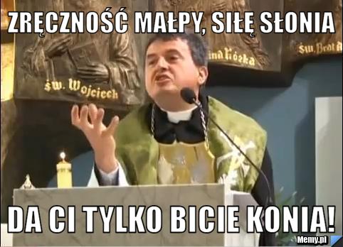 Zręczność małpy, siłę słonia da Ci tylko bicie konia!