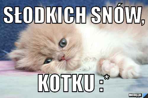 Słodkich snów, kotku :*
