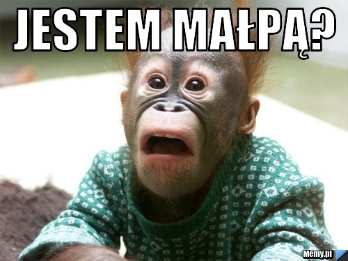 Jestem małpą? 