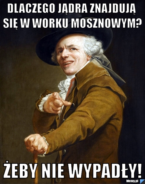 Dlaczego jądra znajdują się w worku mosznowym? żeby nie wypadły!