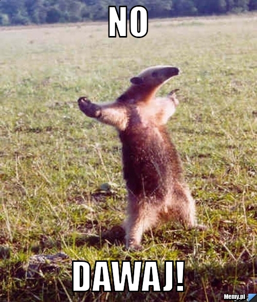 No  dawaj!