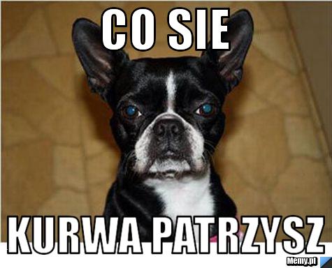 Co sie Kurwa patrzysz