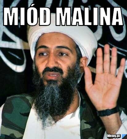 Miód Malina 