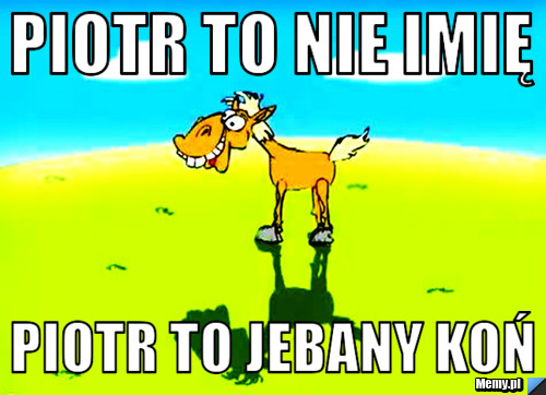 Piotr to nie imię Piotr to jebany koń