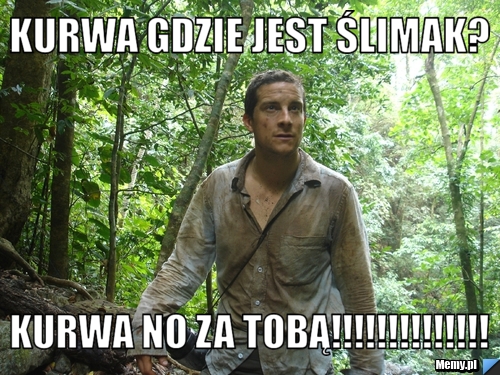 Kurwa gdzie jest ślimak?  kurwa no za tobą!!!!!!!!!!!!!!