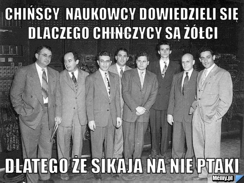 Chińscy  naukowcy dowiedzieli się dlaczego chińczycy są żółci dlatego że sikaja na nie ptaki