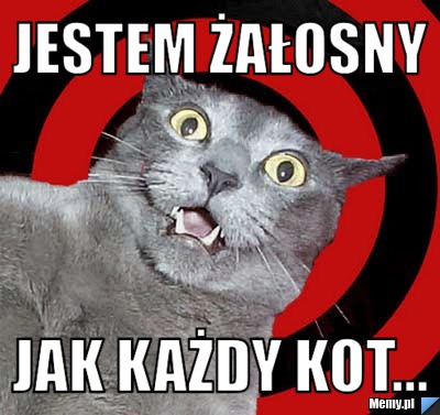 Jestem żałosny jak każdy kot...