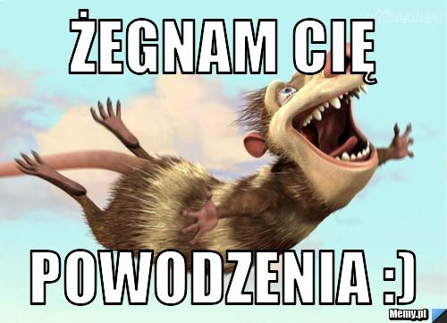 Żegnam Cię Powodzenia :)