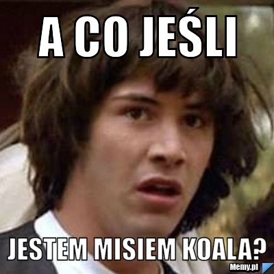 A co jeśli jestem misiem koala?