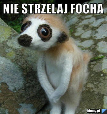 Nie strzelaj focha  