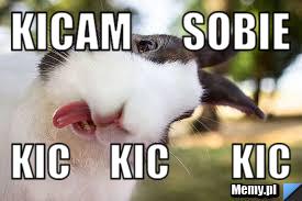 Kicam      sobie  kic     kic        kic 