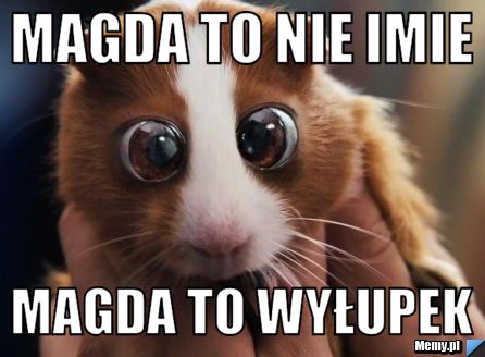 Magda to nie imie Magda to wyłupek