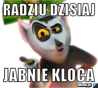 Radziu Dzisiaj Jabnie kloca