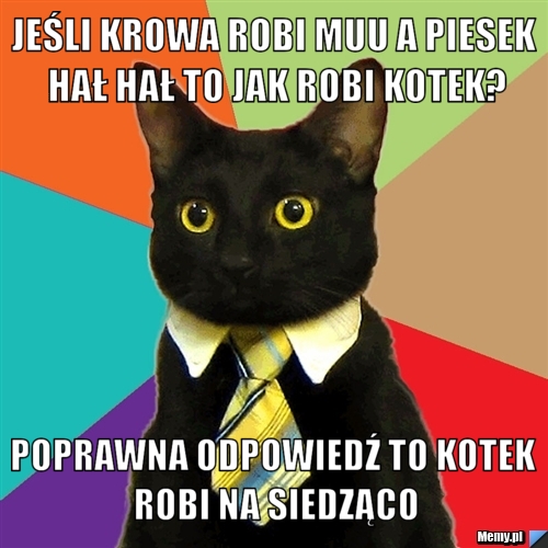 Jeśli krowa robi muu a piesek hał hał to jak robi kotek? Poprawna odpowiedź to Kotek robi na siedząco