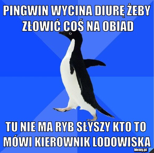 Pingwin wycina diurę żeby złowić coś na obiad tu nie ma ryb słyszy kto to m&oacute;wi kierownik lodowiska