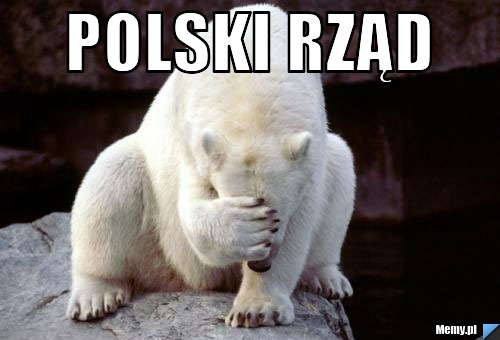 Polski rząd  