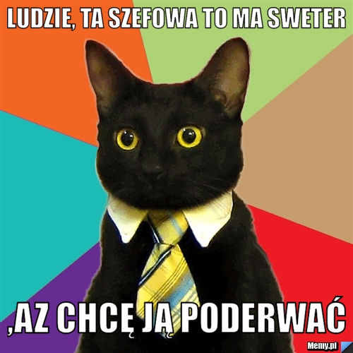 Ludzie, ta szefowa to ma sweter ,az chcę ją poderwać