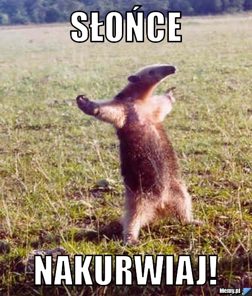 Słońce  Nakurwiaj!