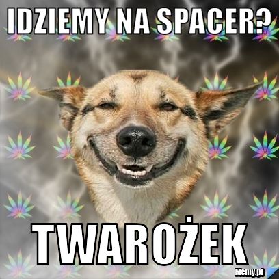 Idziemy na spacer? Twarożek 