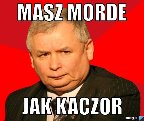 Masz morde jak kaczor