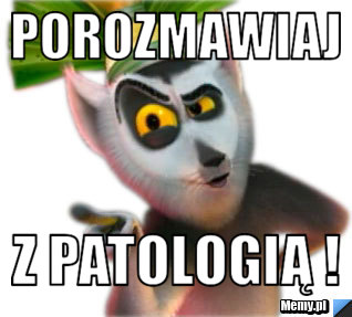 Porozmawiaj z Patologią !