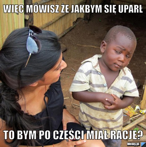Więc mówisz że jakbym się uparł to bym po części miał racje?