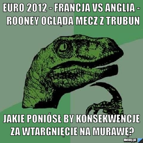 EURO 2012 - Francja vs Anglia -  Rooney ogląda mecz z trubun Jakie poniósł by konsekwencje za wtargnięcie na murawę?