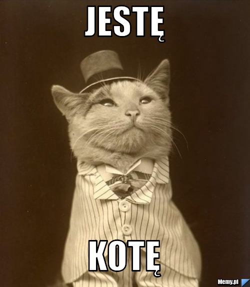 JESTĘ KOTĘ
