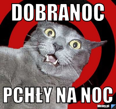 Dobranoc pchły na noc