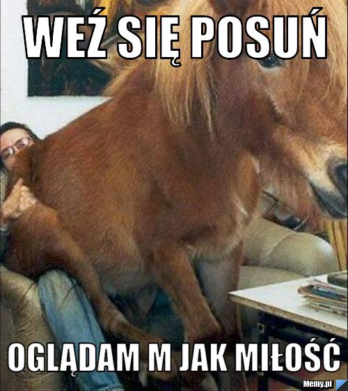 Weź się posuń oglądam m jak miłość