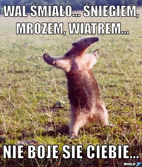 Wal śmiało... śniegiem, mrozem, wiatrem... nie boję się ciebie...