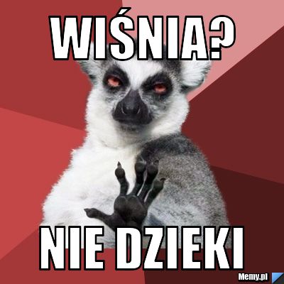 Wiśnia? nie dzieki