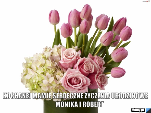 Kochanej mamie serdeczne życzenia urodzinowe        Monika i Robert 