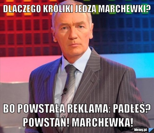 Dlaczego króliki jedzą marchewki? bo powstała reklama: Padłeś? powstań! Marchewka!