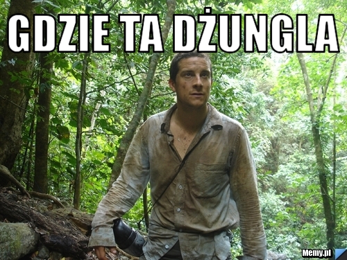 Gdzie ta dżungla 