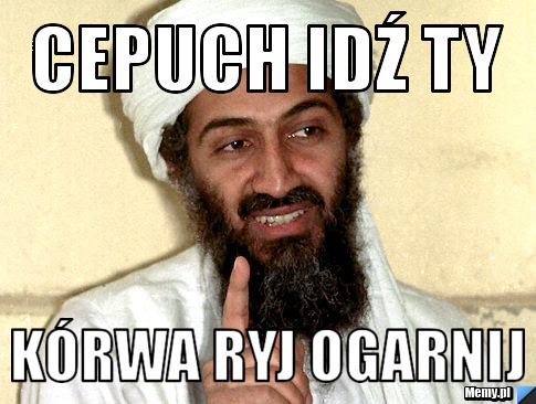 Cepuch idź ty  kórwa ryj ogarnij