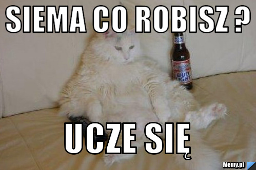 Siema co robisz ? ucze się 