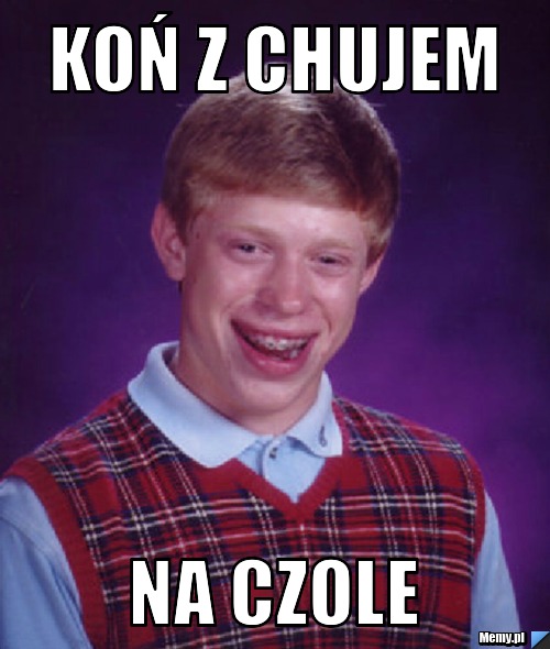 Koń z Chujem Na Czole