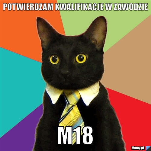 Potwierdzam kwalifikacje w zawodzie M18