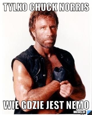 Tylko Chuck Norris wie gdzie jest nemo 