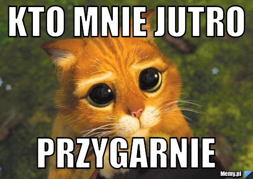 Kto mnie jutro przygarnie