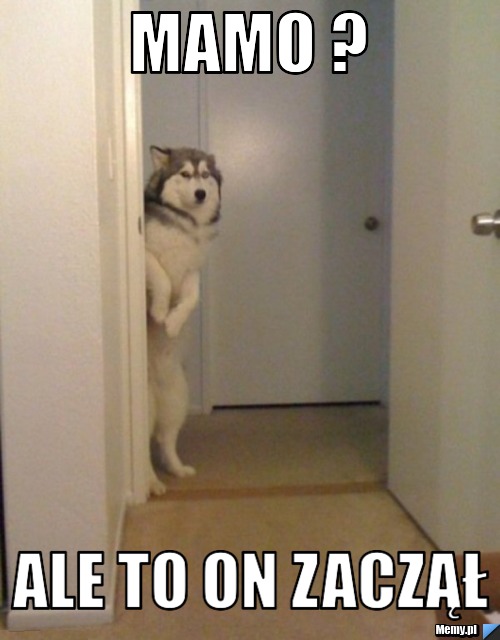 MAMO ? ALE TO ON ZACZĄŁ