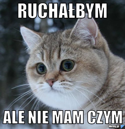 Ruchałbym ale nie mam czym