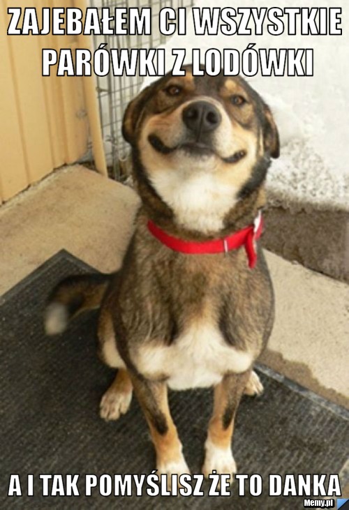 Zajebałem ci wszystkie parówki z lodówki A i tak pomyślisz że to Danka 