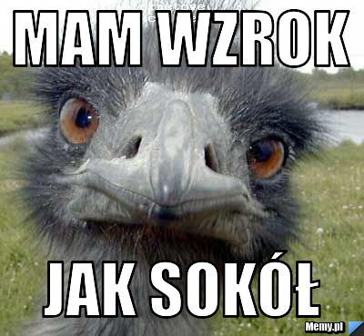 Mam wzrok jak sokół